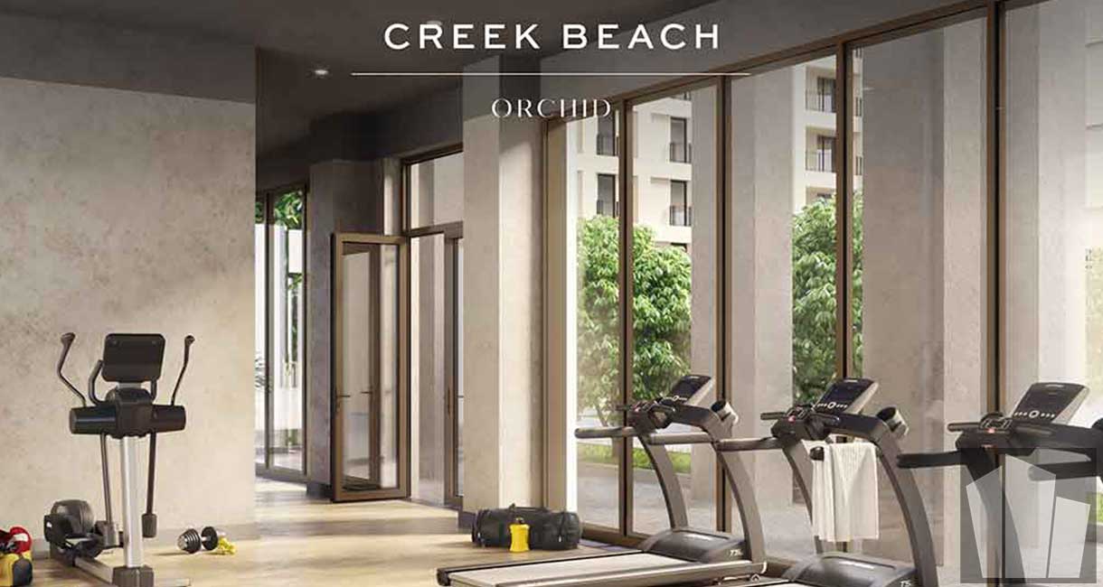 Orchid-at-Creek-Beach-Gym